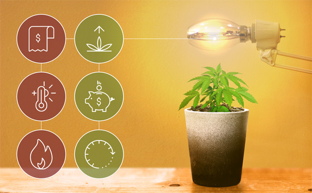 Плюсы и минусы ламп ДНаТ