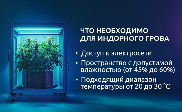 Условия для индорного гровинга