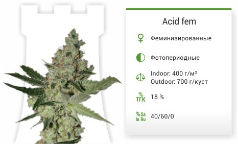 Acid fem от Paradise Seeds