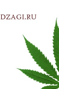 Форум Дзаги