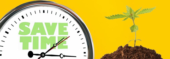 Экономия времени на гровинге