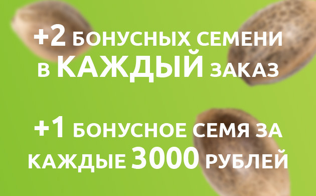 Бонусные семена