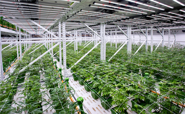 Огромный гроутент