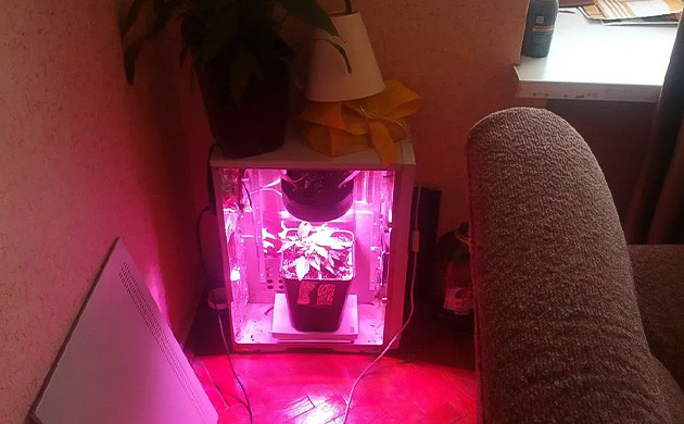 Стелс-бокс для выращивания