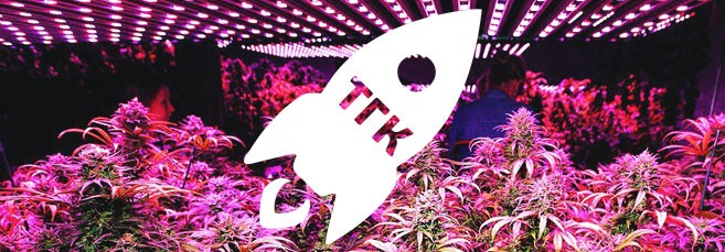 Как ультрафиолет влияет на ТГК