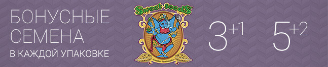 Акция от Sweet Seeds