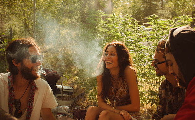 Зеленый источник радости