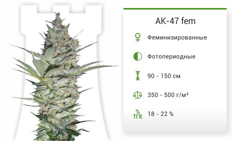 AK-47 fem от Serious seeds