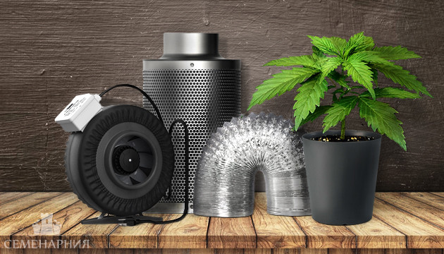 Вентиляция в гроубоксе