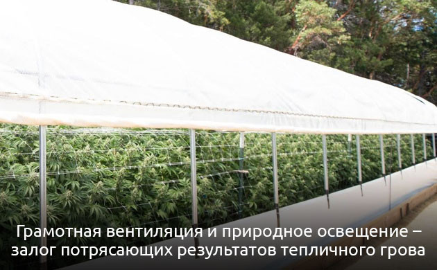 Вентиляция и природное освещение