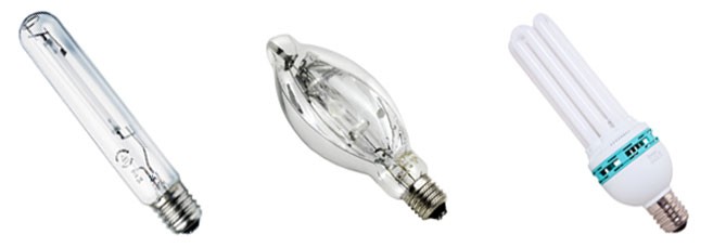 виды ламп