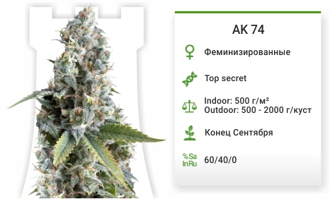 описание сорта ak 74