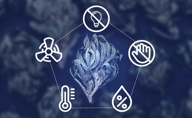 5 правил сушки