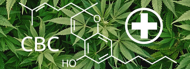 Лекарственный потенциал КБХ