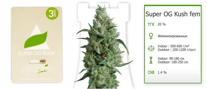 Super OG Kush fem