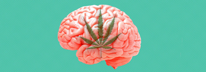 Марихуана и ее влияние на мозг