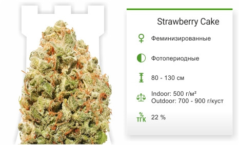 Strawberry Cake от Heavyweight Seeds