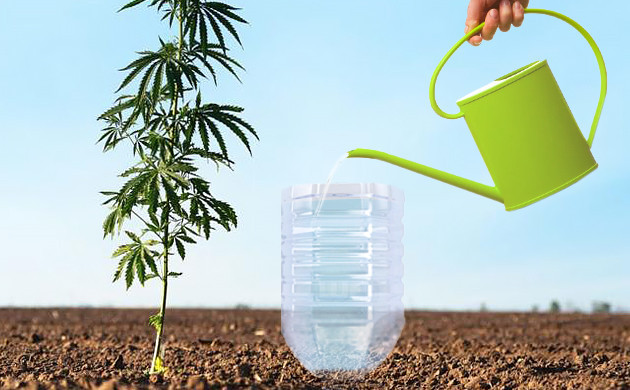 Перевернутая бутылка с водой у основания корней