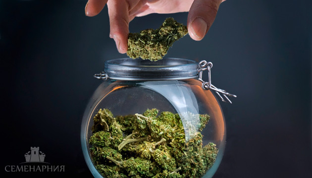 Пролечка конопли