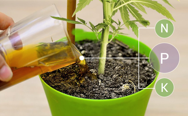 Питательные вещества для конопли