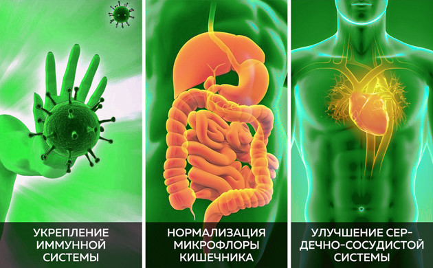 Урбеч укрепляет имунную системуи нормализует микрофлору кишечника
