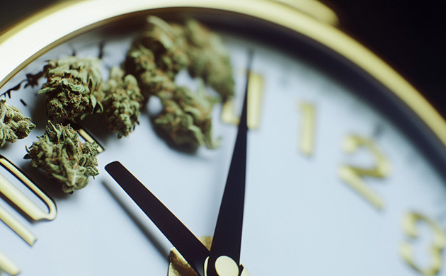 Световые режимы