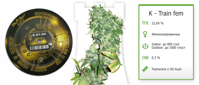 K - Train fem