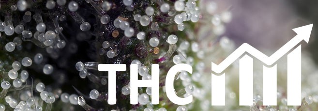 Как увеличить ТГК