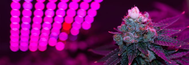 ​​Наилучшее расстояние от лампы до макушки