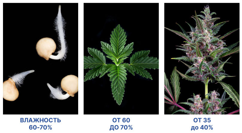 Показатели температуры и влажности