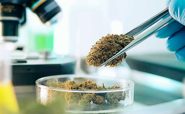 Заключение