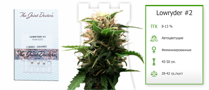 семена Lowryder #2