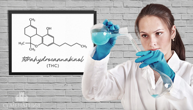 Тетрагидроканнабинол и польза для здоровья человека