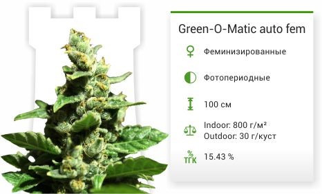 Green-O-Matic от Green House Seeds