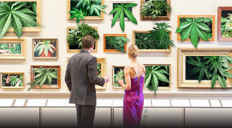 Типы конопли