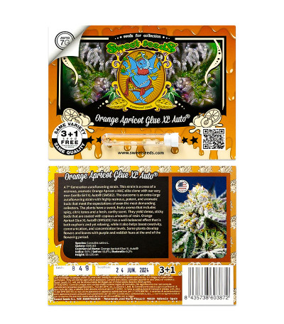 Сорт Orange Apricot Glue XL Auto fem (Sweet Seeds)